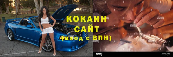 соль ск Алексин