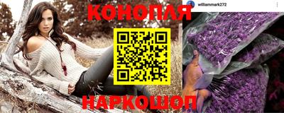 PSILOCYBIN Бугуруслан