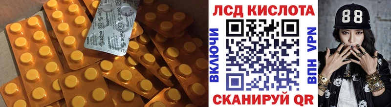 как найти закладки  Елизово  ЛСД экстази ecstasy 