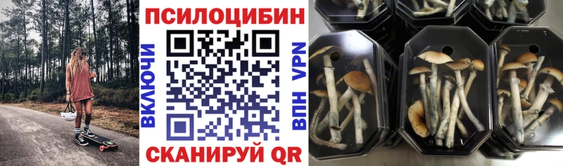 Псилоцибиновые грибы GOLDEN TEACHER  Елизово 