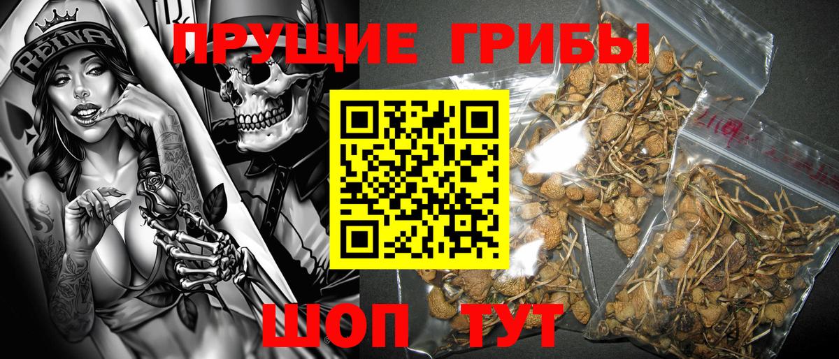 Елизово  Псилоцибиновые грибы Psilocybe  Вход с VPN 