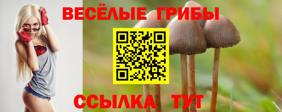 Галлюциногенные грибы мицелий Елизово